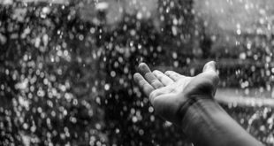 Résoudre une connexion SNMP sur Switch Avaya/Nortel – Guide complet