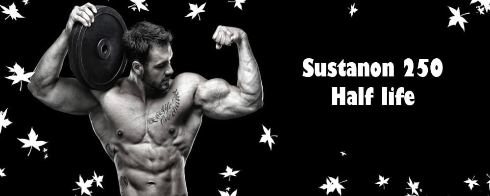 Sustanon 250 est polyvalent et peut être utilisé dans les cycles de croissance et de décroissance. Pendant les phases de bulking, il contribue à des gains de masse musculaire significatifs, tandis que pendant les phases de cutting, il aide à préserver la masse musculaire maigre.