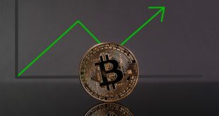 Bitcoin University Courses: Is crypto now a legitimate academic field?