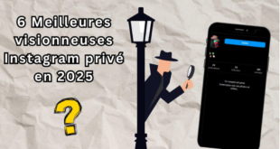 6 meilleures visionneuses Instagram privées en 2025