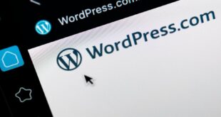 Comment arriver à bien maîtriser WordPress sans coder en 2025 ?
