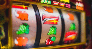 Quels sont les meilleurs bonus des casinos en ligne ?