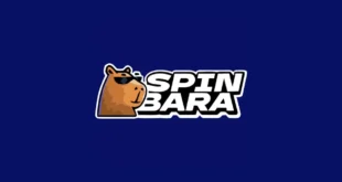 Le casino du futur : Pourquoi Spinbara est bien plus qu'un simple jeu d'argent