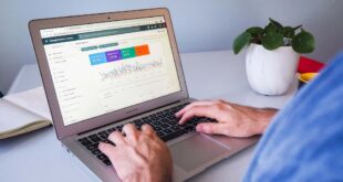 SEO, réseaux sociaux ou publicité : quelle stratégie choisir pour augmenter le trafic de son site ?