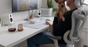 Sihoo : Et si le confort devenait votre nouvelle manière de travailler ?