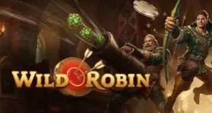 5 raisons de choisir WildRobin Casino en France