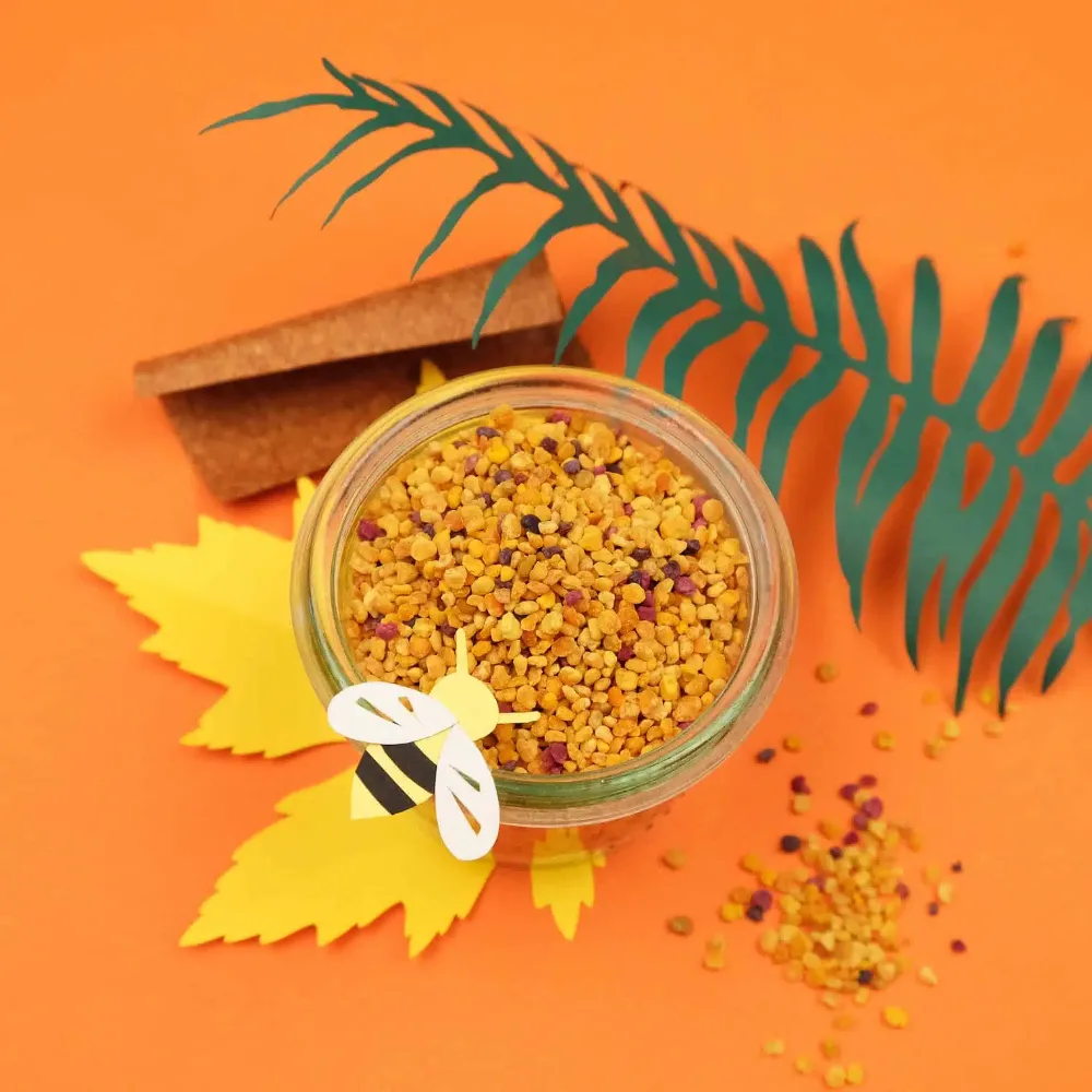 Le pollen d’abeilles se distingue avant tout par sa densité nutritionnelle. Il contient des protéines végétales de haute qualité, incluant presque tous les acides aminés essentiels. Le pollen d’abeilles se distingue avant tout par sa densité nutritionnelle. Il contient des protéines végétales de haute qualité, incluant presque tous les acides aminés essentiels.