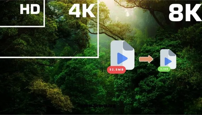 L'avenir du streaming et de la compression multimédia
