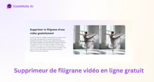 Comment supprimer un filigrane d’une vidéo avec l’IA en ligne et gratuitement