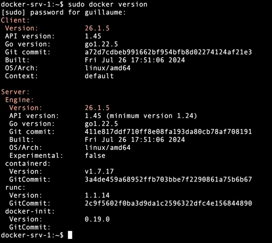 Résultat de docker version affichant les détails de l'installation Docker sur Alpine Linux Résultat de docker version affichant les détails de l'installation Docker sur Alpine Linux