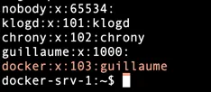 Contenu du fichier /etc/group montrant l'appartenance au groupe Docker Contenu du fichier /etc/group montrant l'appartenance au groupe Docker