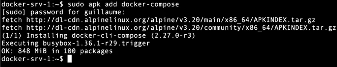 Installation de Docker Compose sur Alpine Linux avec apk add docker-compose Installation de Docker Compose sur Alpine Linux avec apk add docker-compose