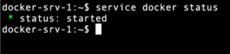Vérification du statut du service Docker sur Alpine Linux Vérification du statut du service Docker sur Alpine Linux