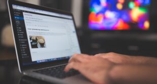 Quel est le meilleur outil pour un site e-commerce WordPress en 2026 ?