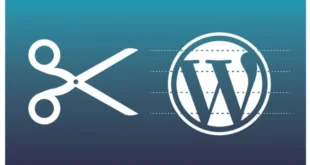 Snippets WordPress : Guide complet pour optimiser votre site sans plugin