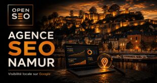 Pourquoi faire appel à une agence SEO à Namur pour votre visibilité locale