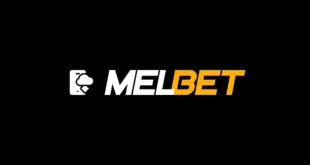 Quelles équipes africaines devrais-je suivre sur l'application MelBet ?