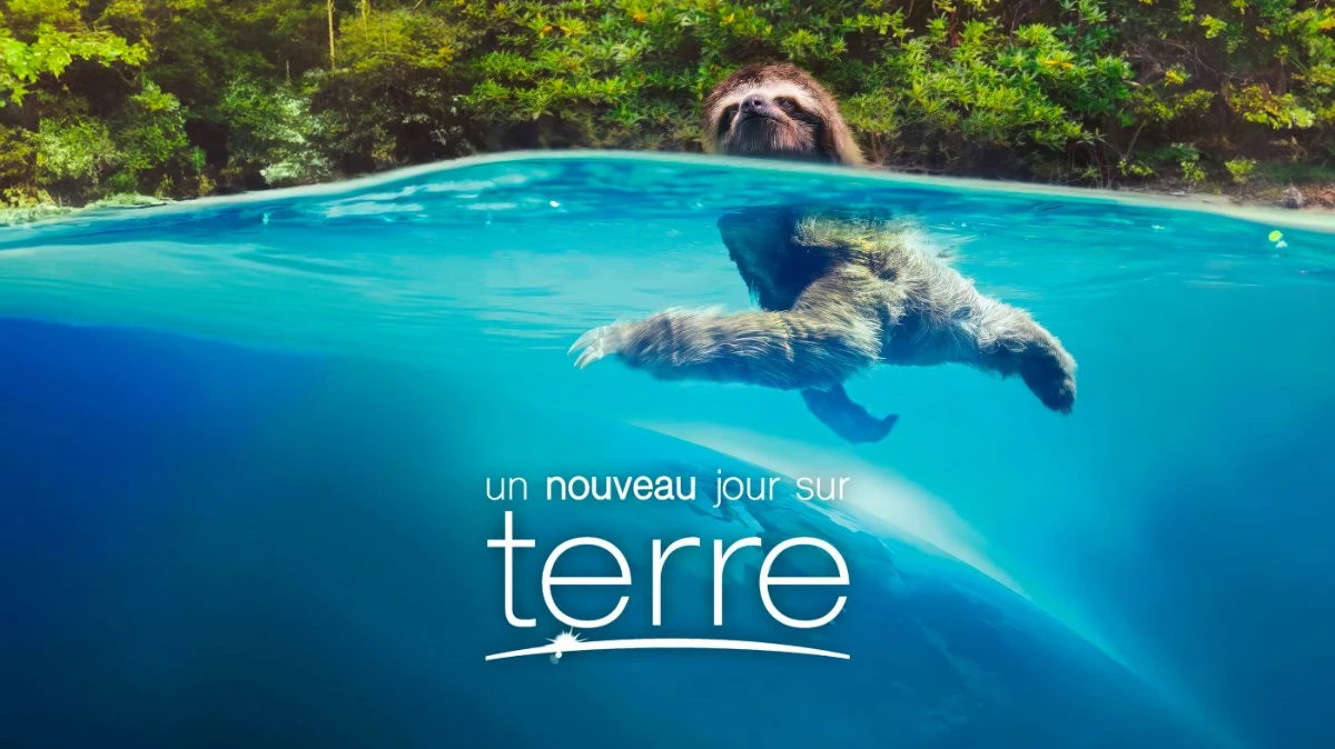 Les meilleurs sites de documentaires et chaînes animalières gratuites Les meilleurs sites de documentaires et chaînes animalières gratuites